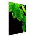 151599f4-2c05-49fc-968e-9373cf8b72d5