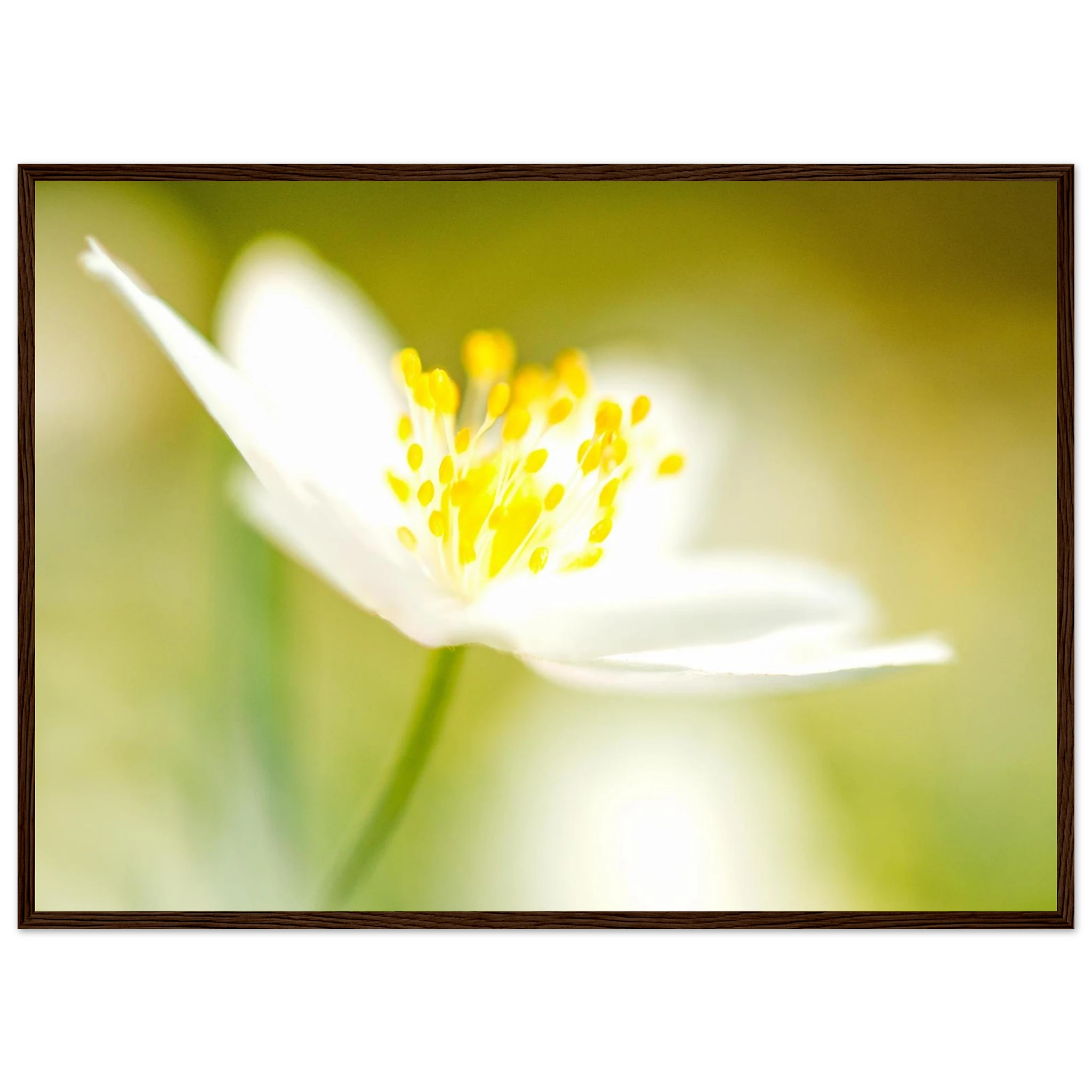 1578c786-9f40-4645-95ca-ec16e8e1d21a