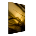16b56084-8e25-4146-b9a9-1da7907e80b2