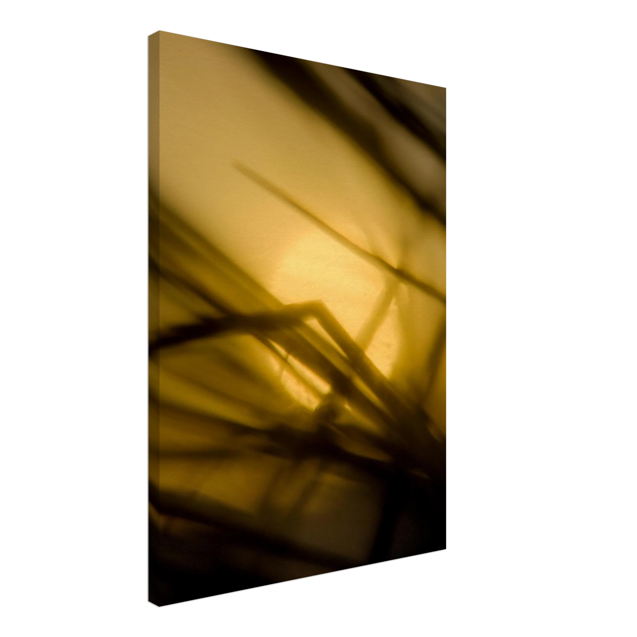 16b56084-8e25-4146-b9a9-1da7907e80b2
