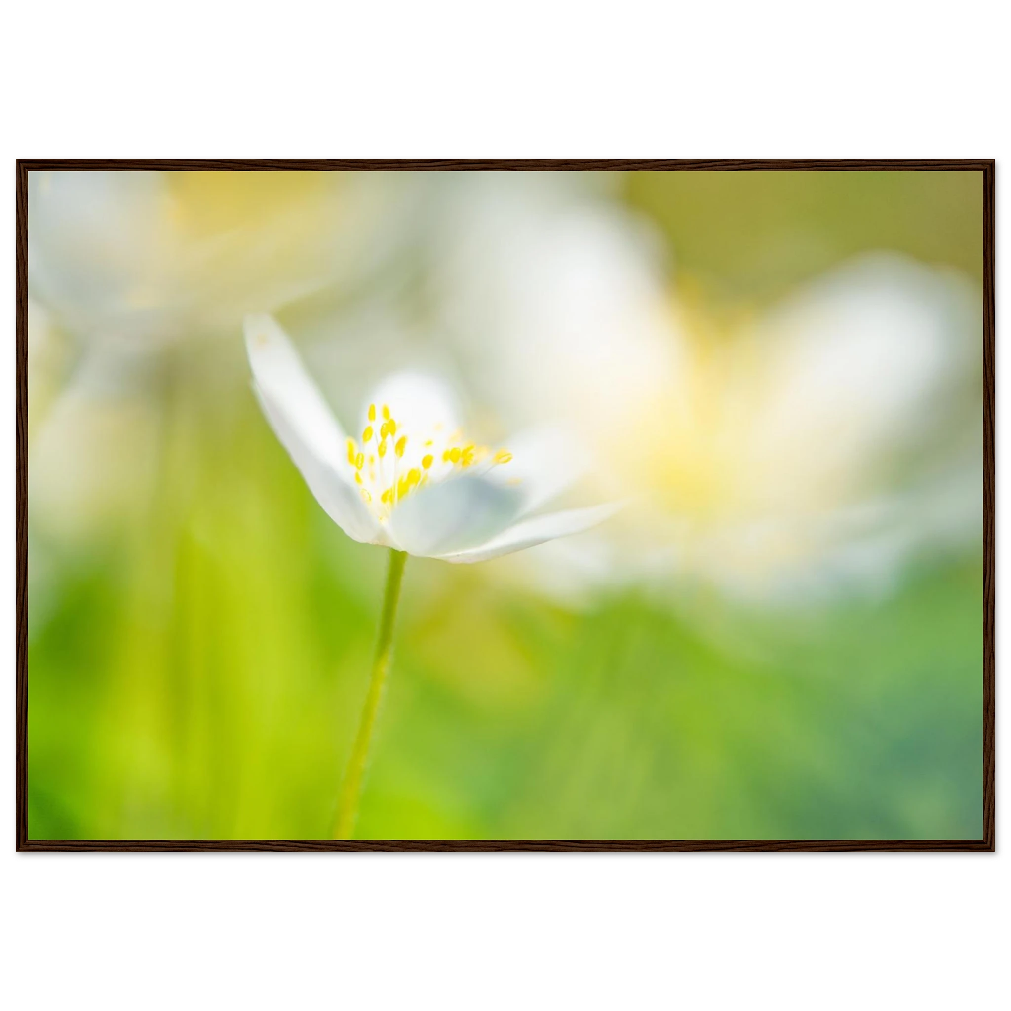 16f1265d-a96e-41c4-aa9a-9029580d2b93