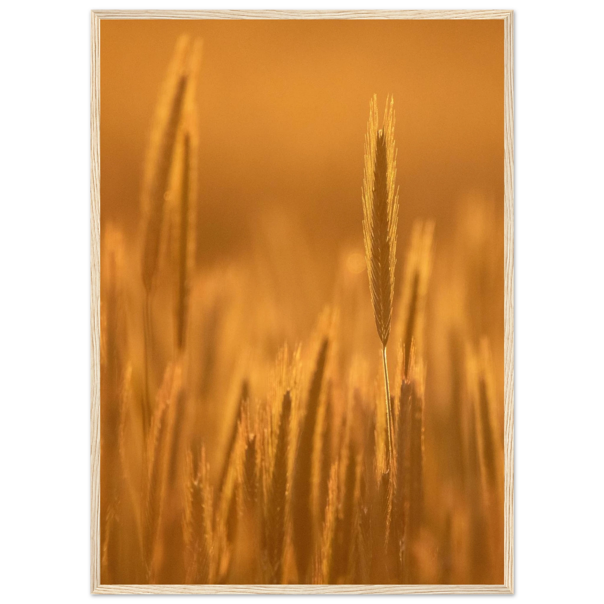 174cea18-5794-4e7f-ab81-f7dcee9009c0