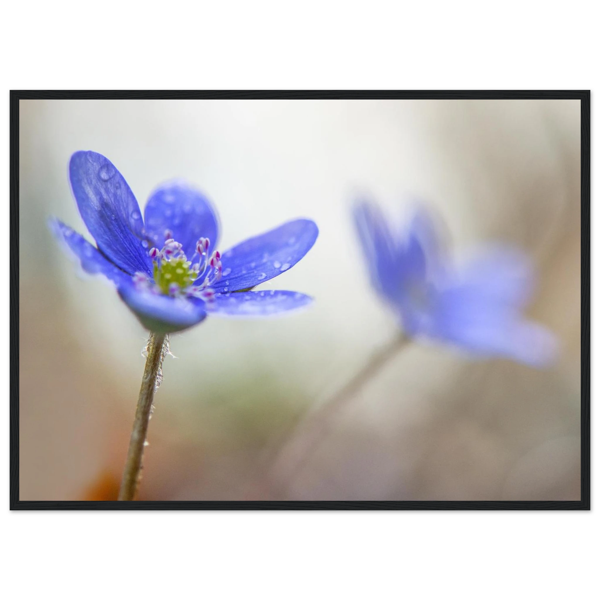 194567d5-27f2-4ef5-b16e-30f0c835f186