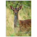 1ac946d5-dc77-4df6-af66-571dbc1b5e0b