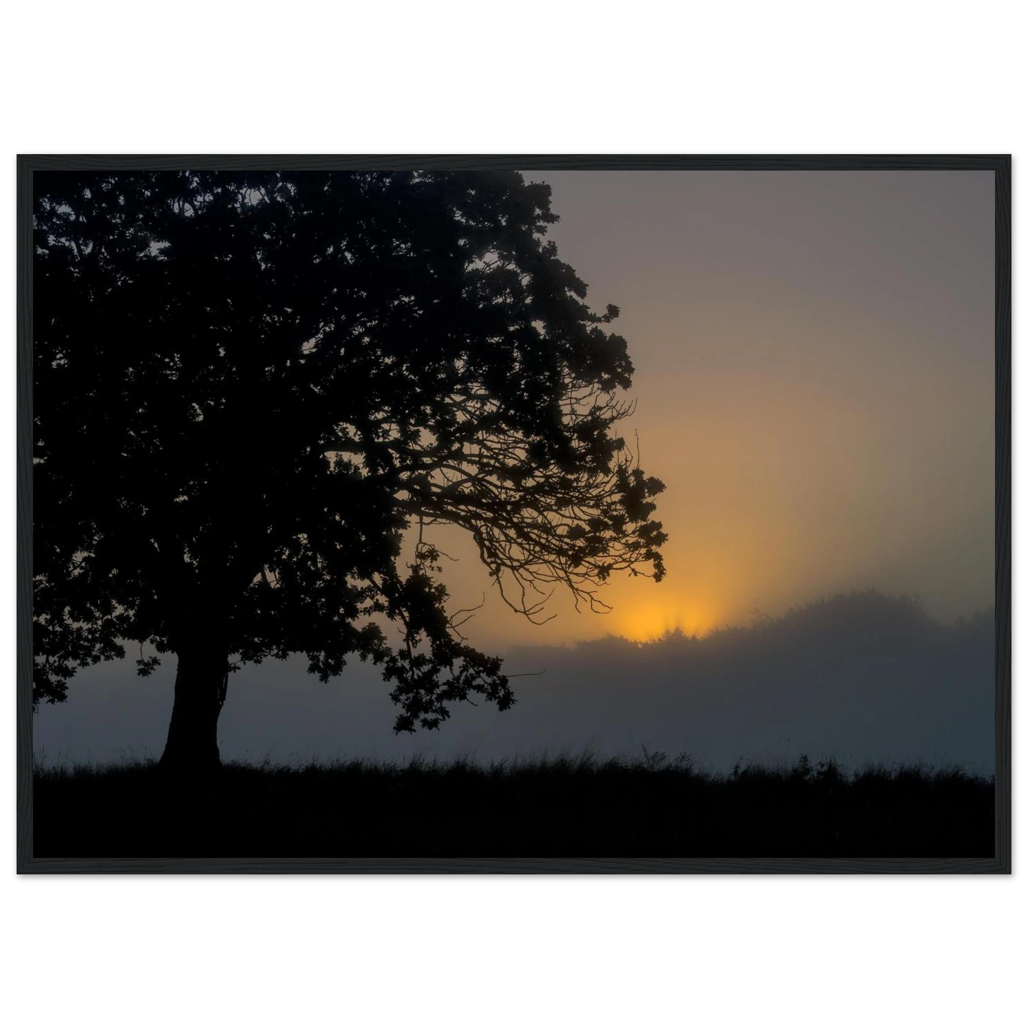 1b7bb1ea-b098-4fad-8b83-597453e1f081