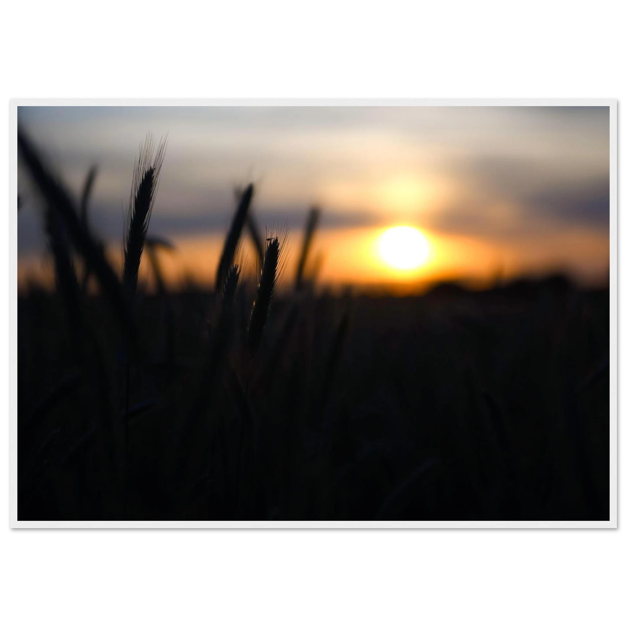 1b9e9626-d212-4e3a-a00f-4a45ce07b100
