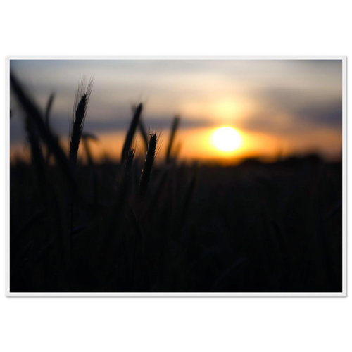 1b9e9626-d212-4e3a-a00f-4a45ce07b100