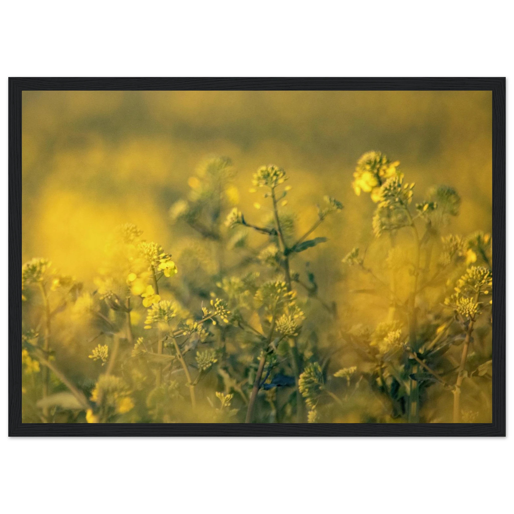1bdcf5ff-35c7-4074-8c8a-e9e96fbe4d41