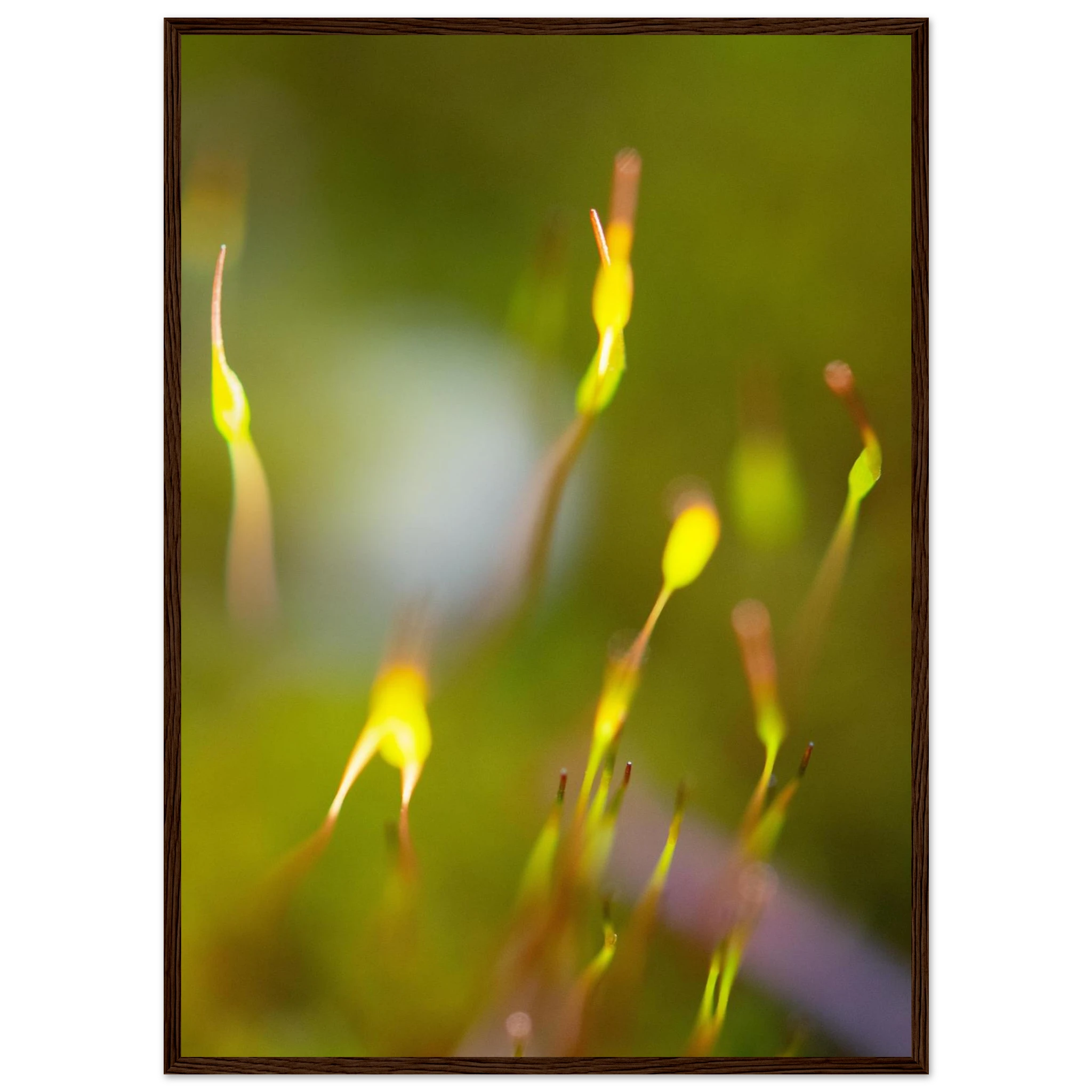 1c6757f6-1b9e-4550-8ec3-dfbdaa1e1e26