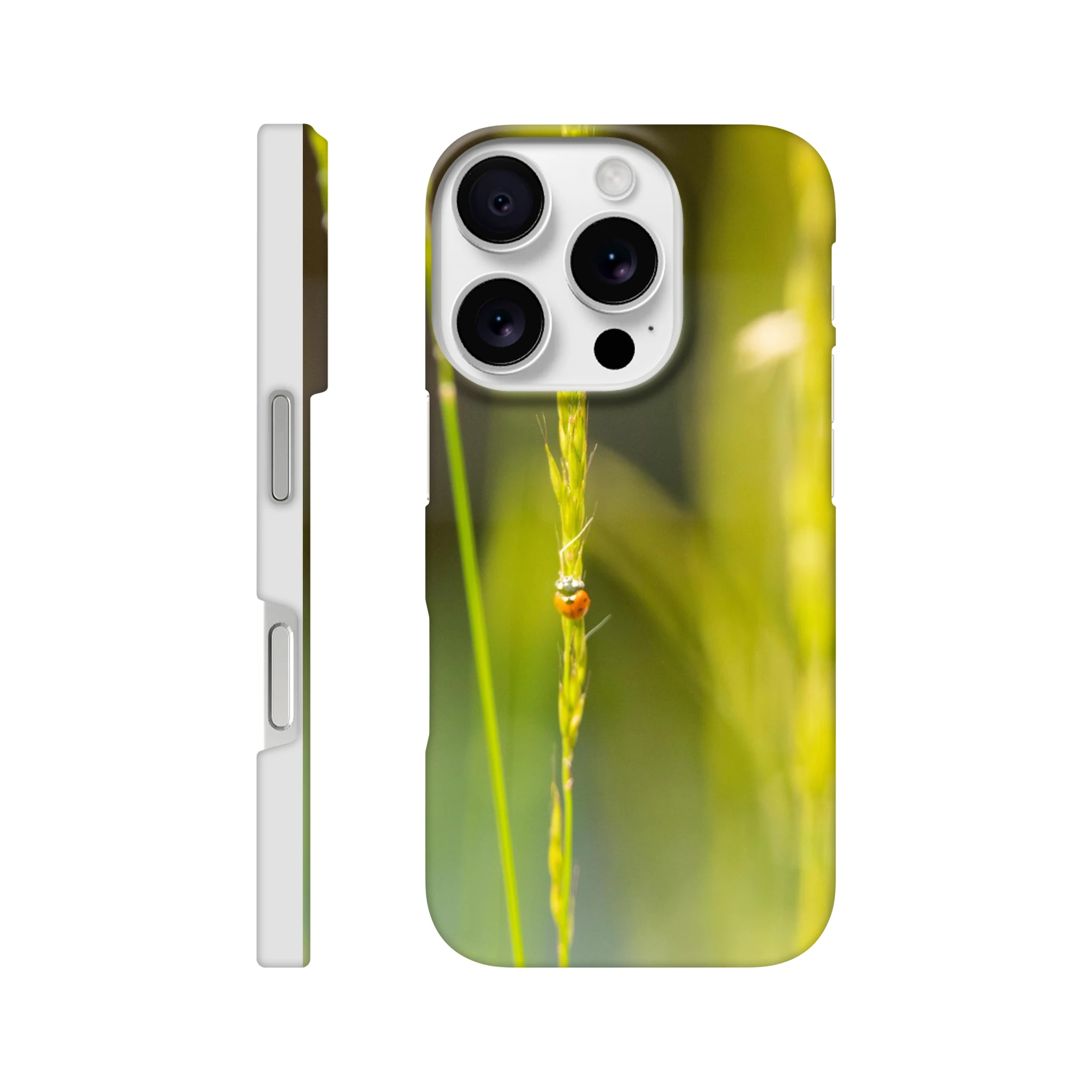 1cdf0445-f514-4147-8ac9-858a06e2d1fb