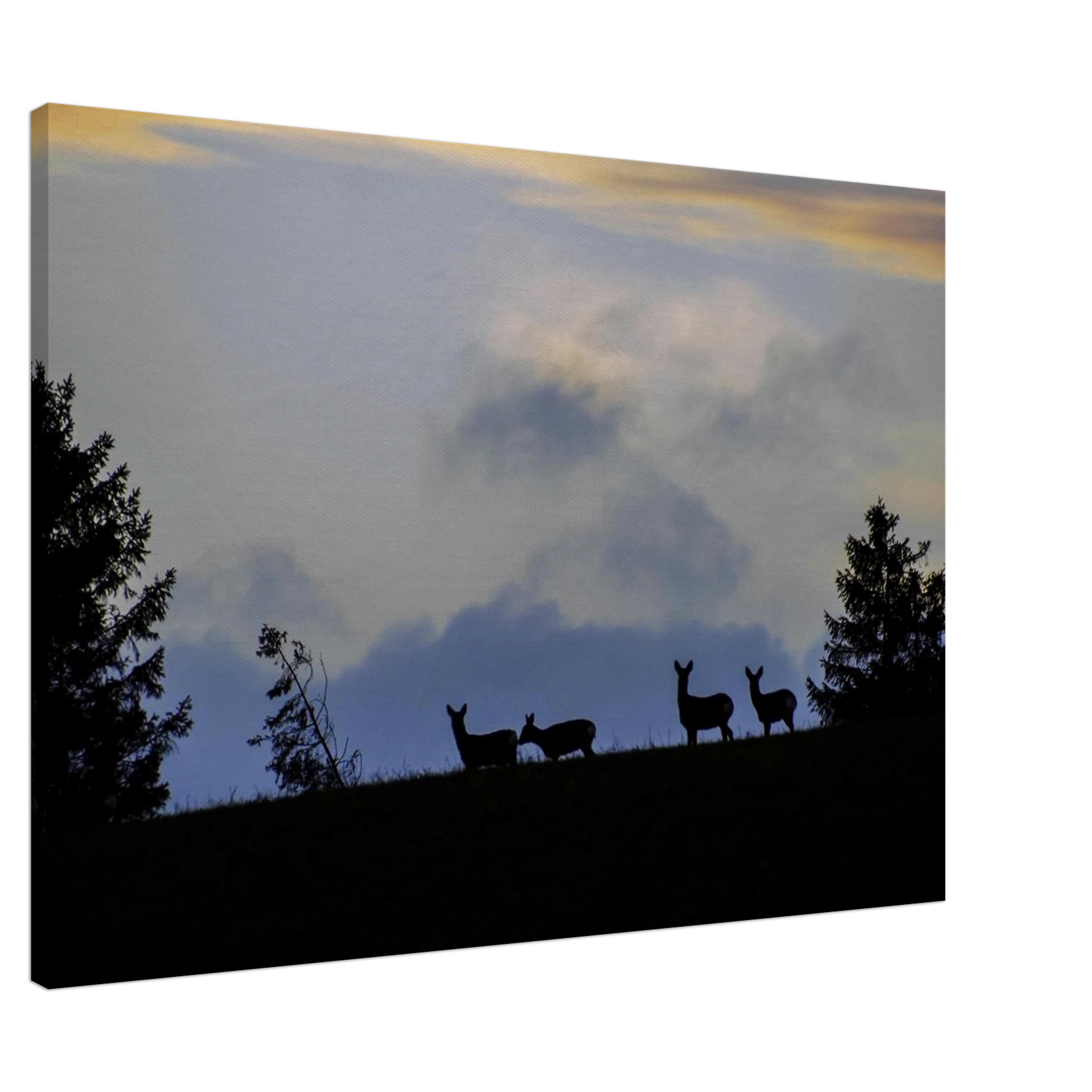 1d02ac0d-5713-4679-ab02-9819f58988b9