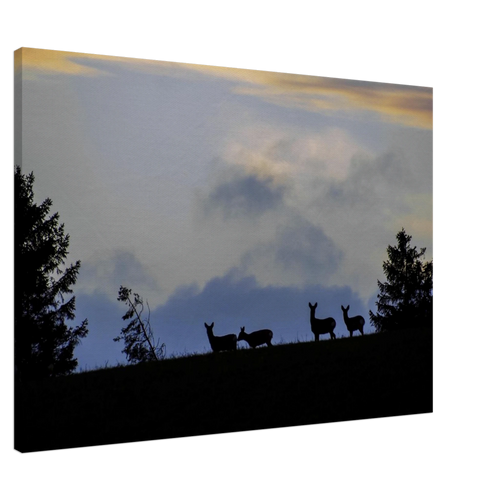 1d02ac0d-5713-4679-ab02-9819f58988b9