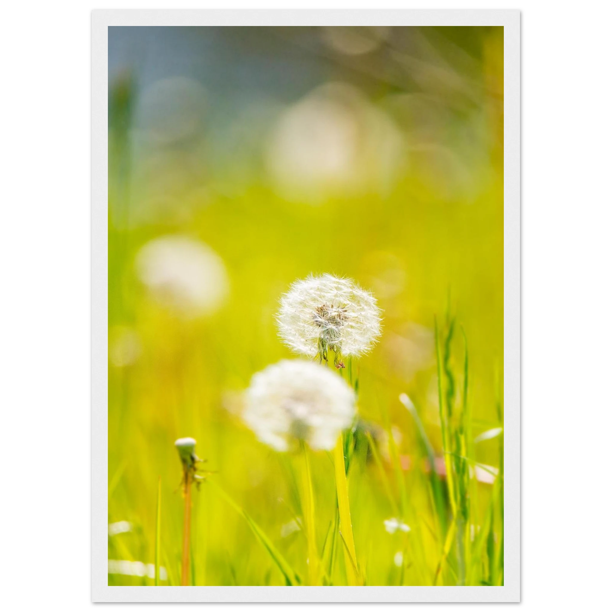 1d05c639-6a2c-44a9-acbd-8c3868fd1a5b