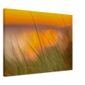 1d3f0008-e9d3-4f1c-993d-287413bd807d