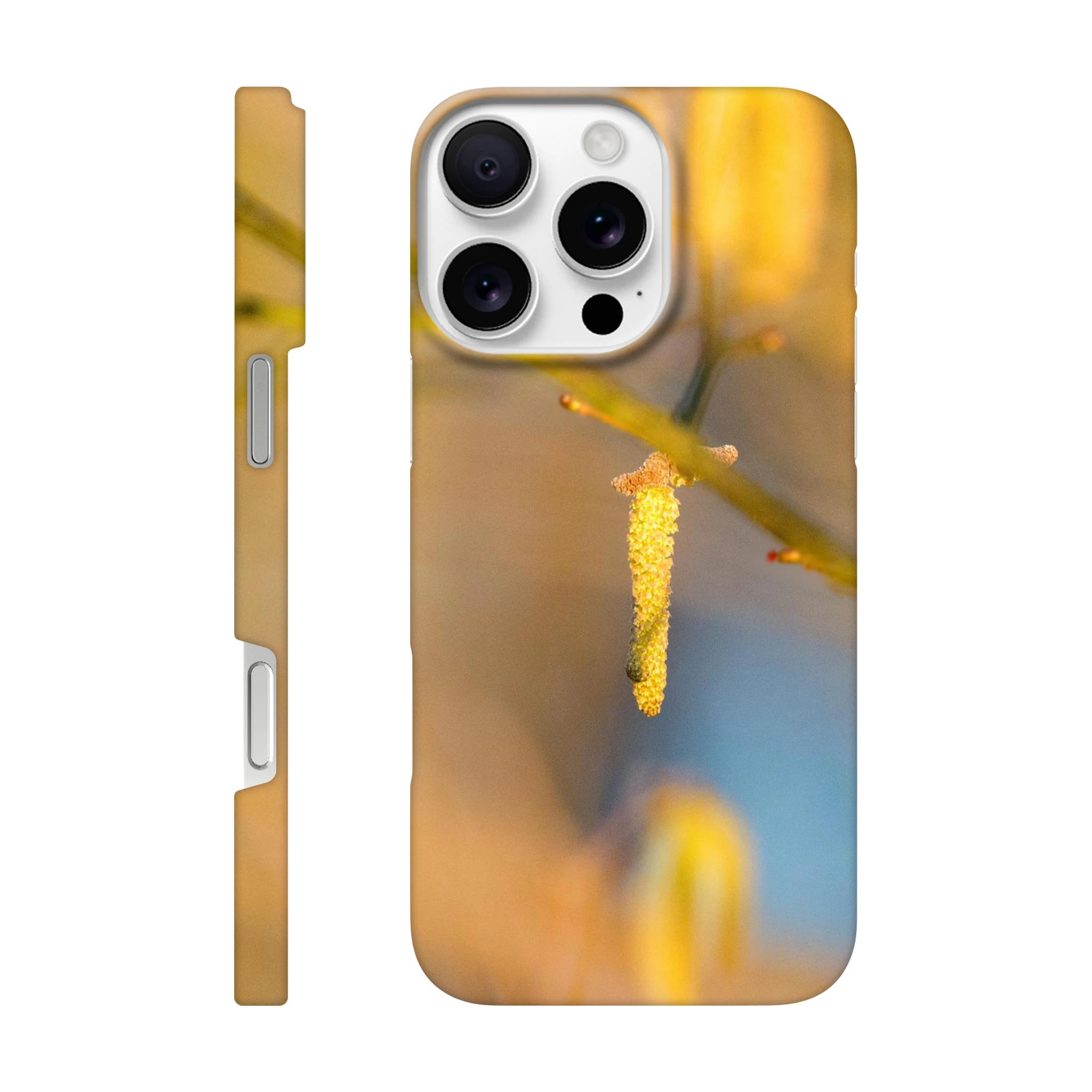 1d9be7a0-30a0-419e-acaf-a260659c2119