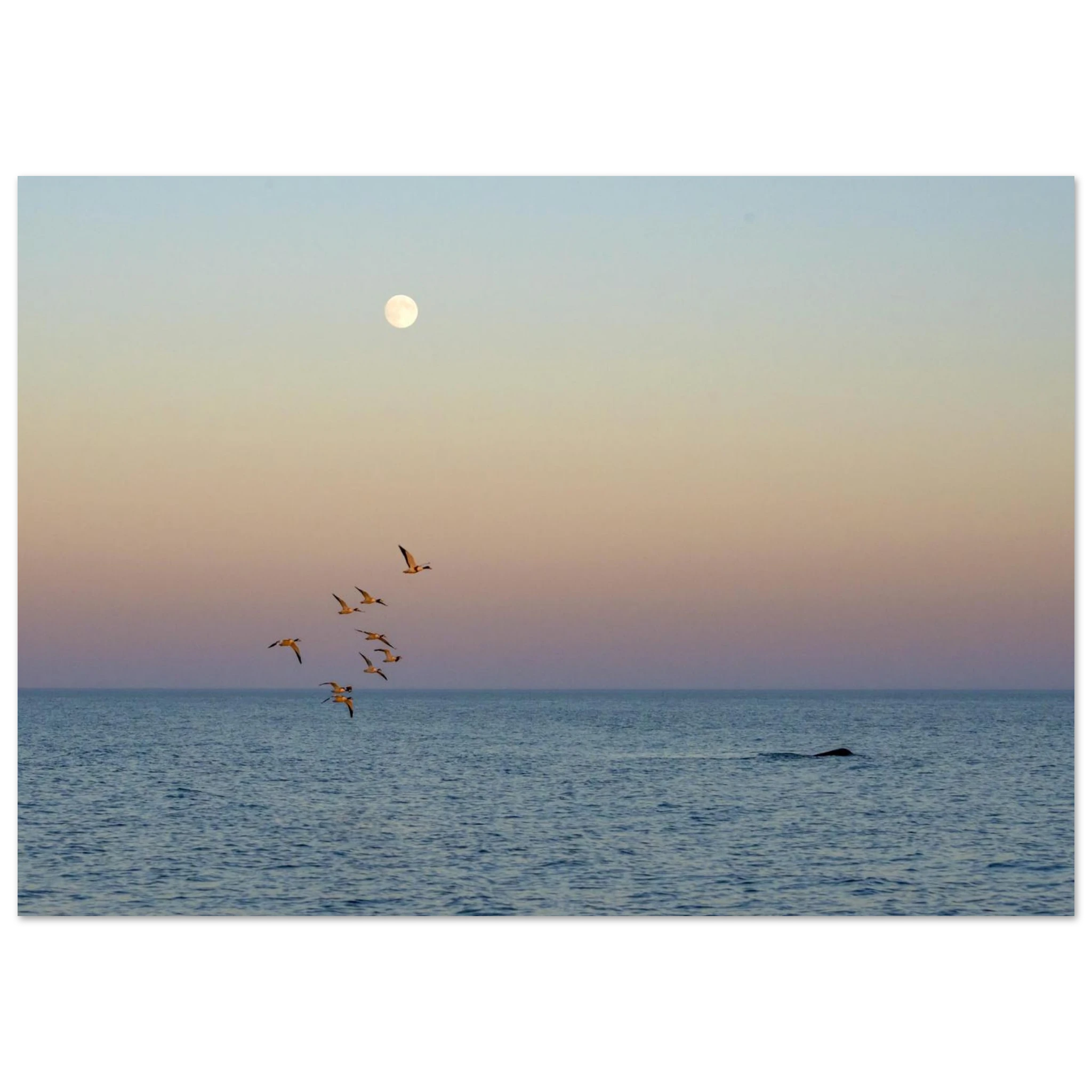 1e1c1a70-2454-420d-835e-fcf176074dd1