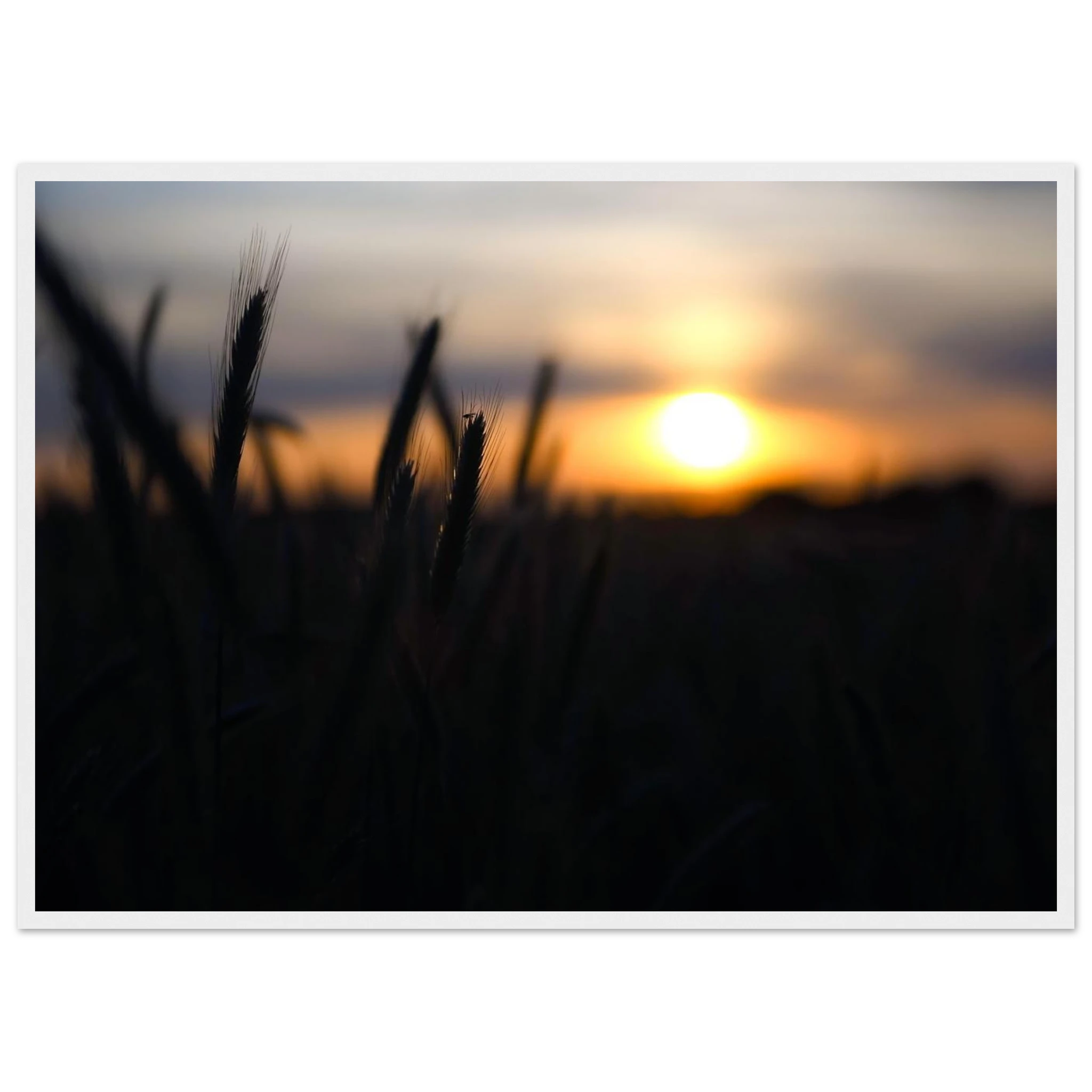 1ea13ab9-9d04-49cf-b385-4da5b1345dce