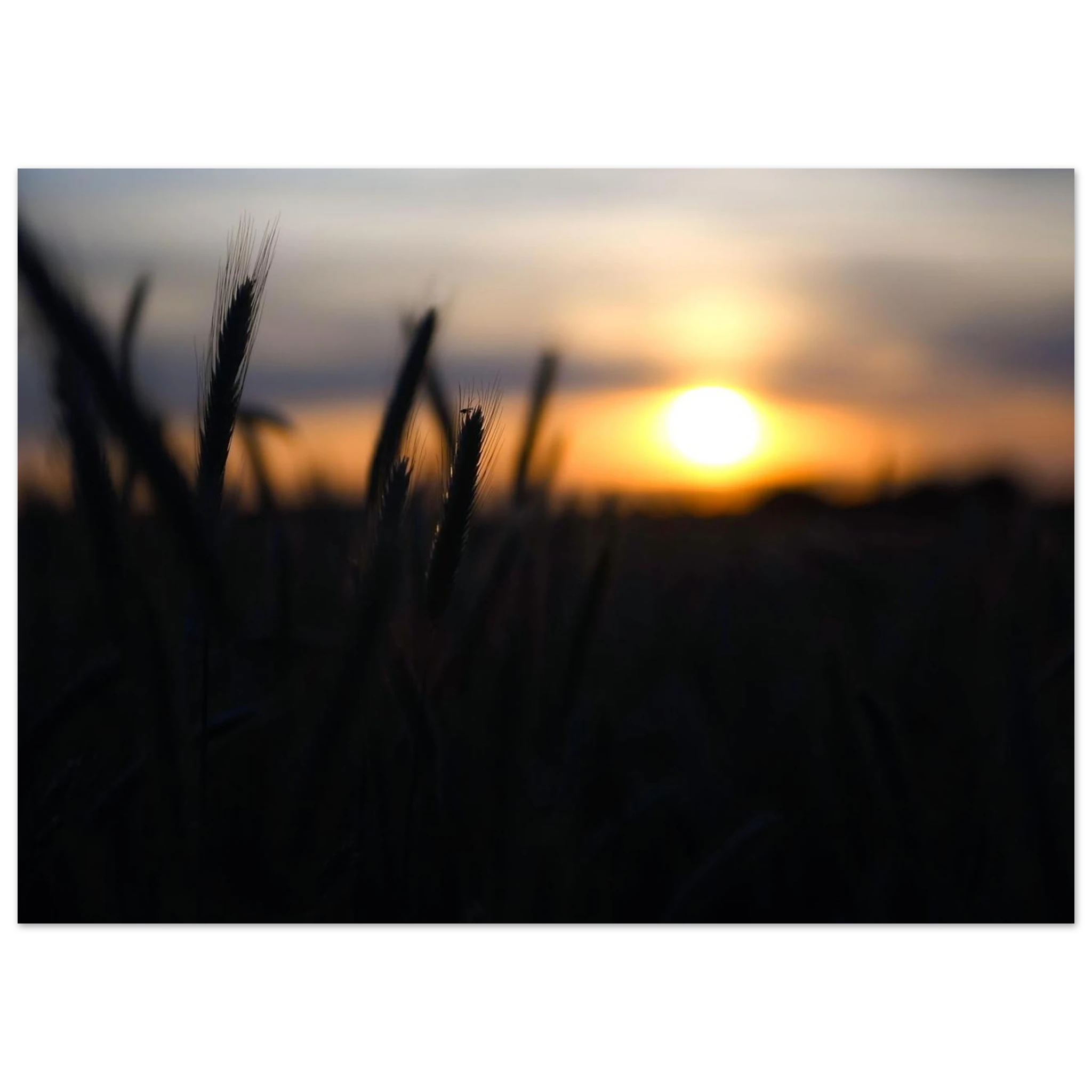 1ec978c9-9438-4394-be4f-8d631427e95c