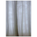 1fbe6db8-3978-44c4-aaf4-9a9511e76b9d