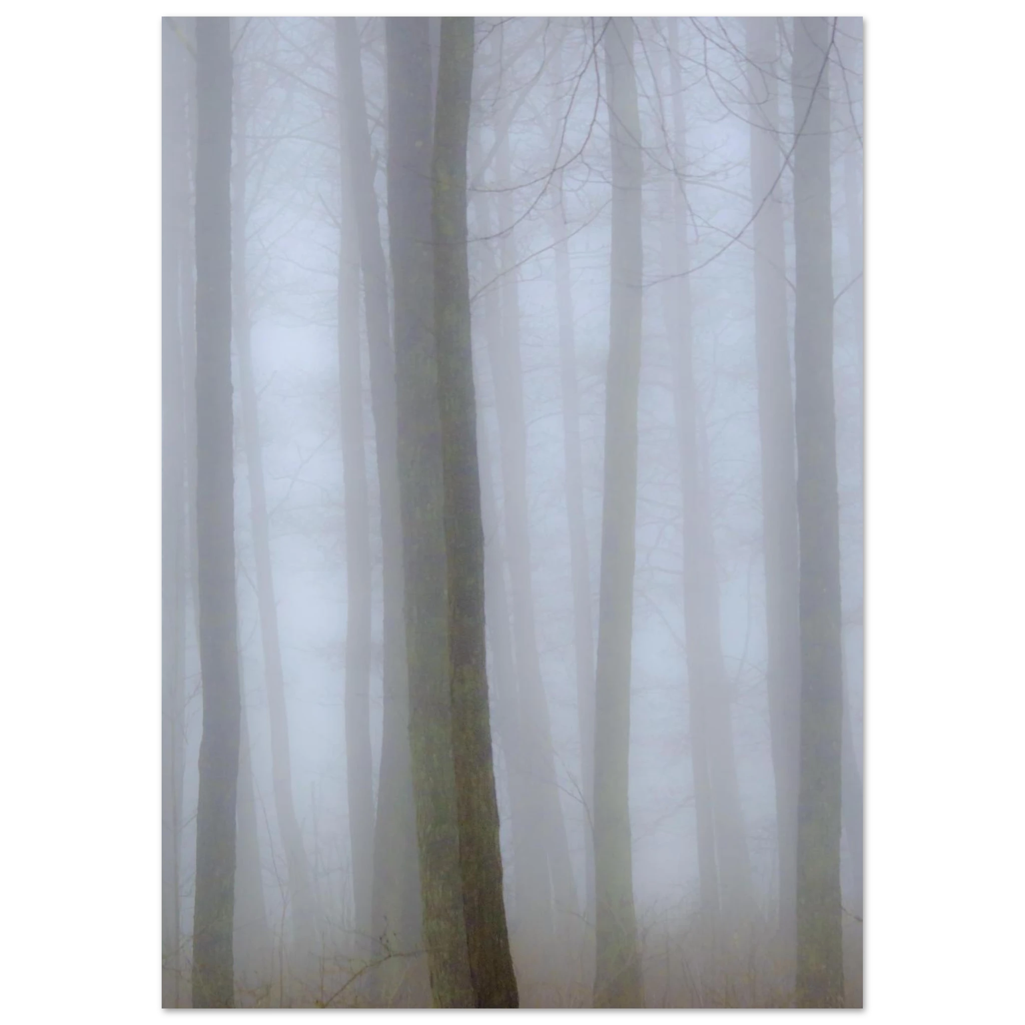 1fbe6db8-3978-44c4-aaf4-9a9511e76b9d