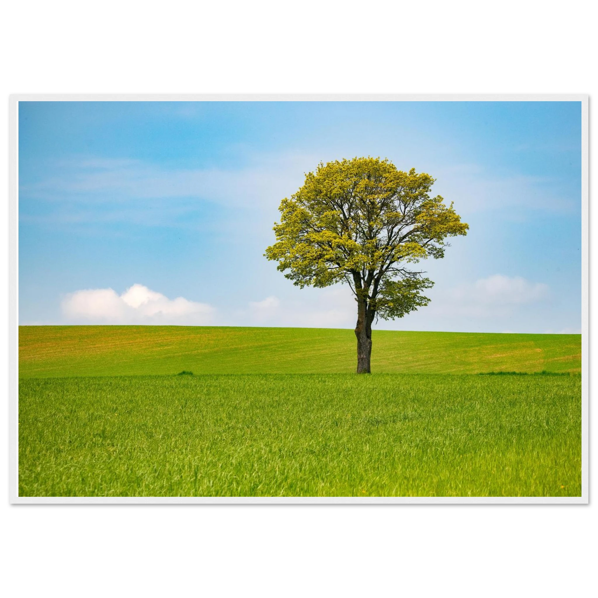 20f34506-7f0e-4fd8-9afb-ed7331647b73