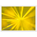 213500c6-6526-407c-8a1f-127c6000fa20