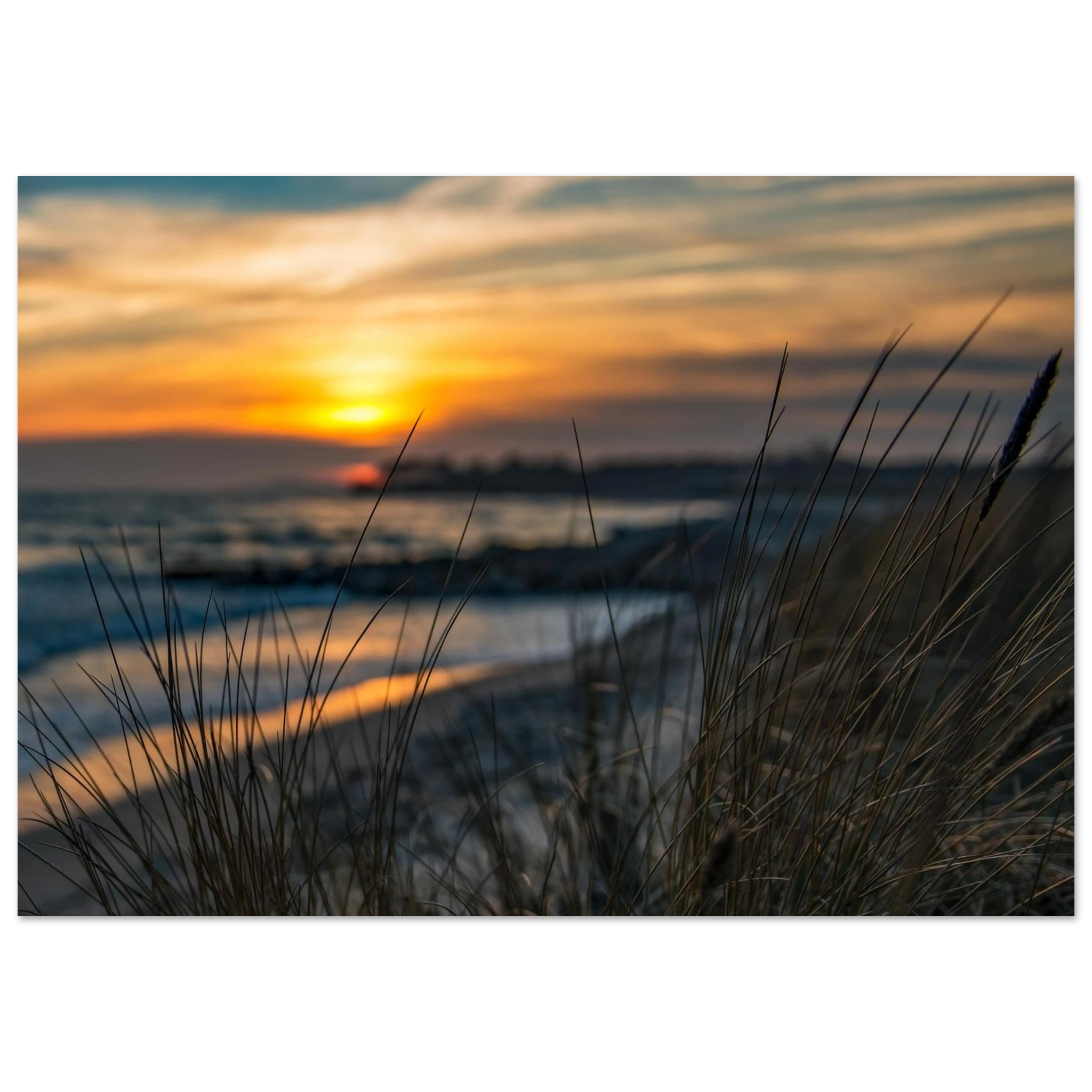 21e6b6be-1abc-4643-9389-308a5092fe9b