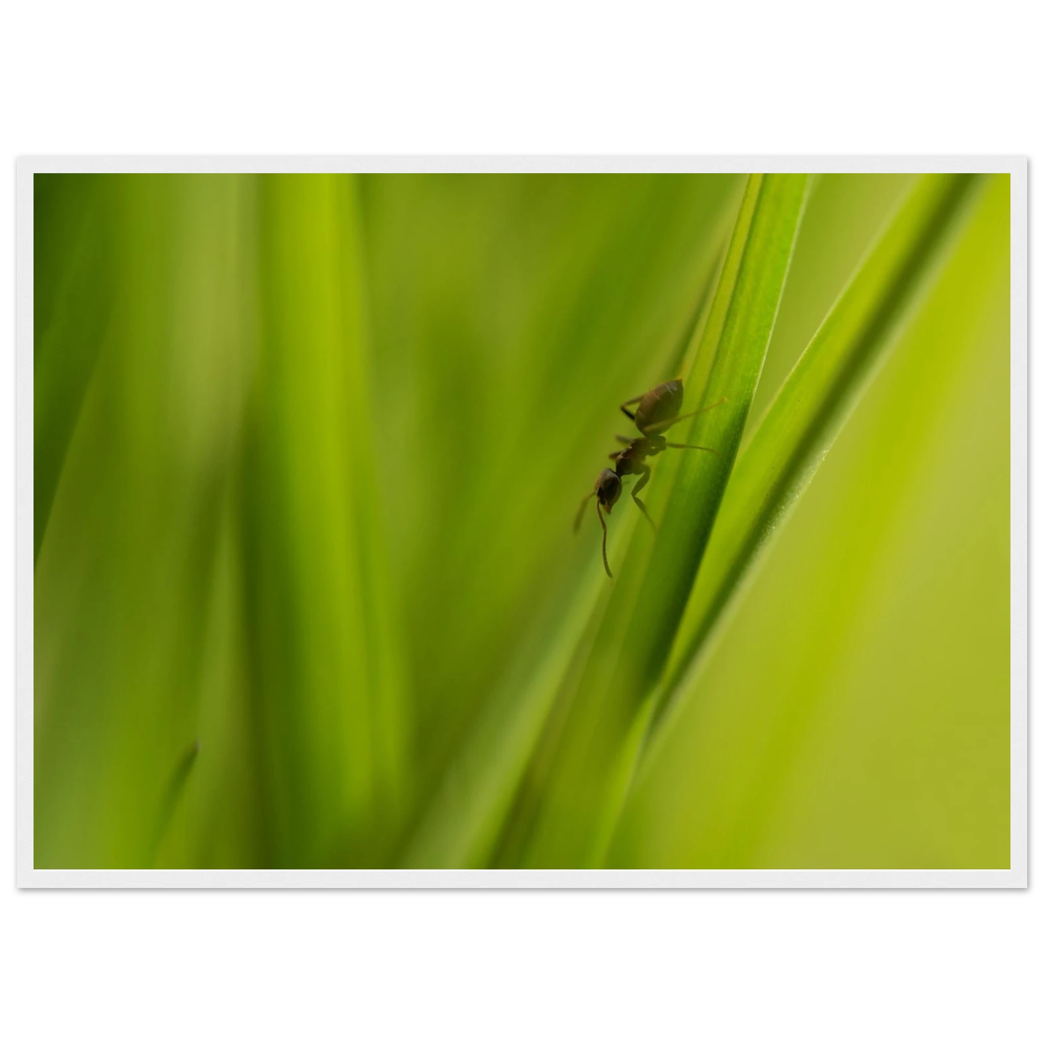 22b39cec-384f-4793-be07-e5a624f39d35