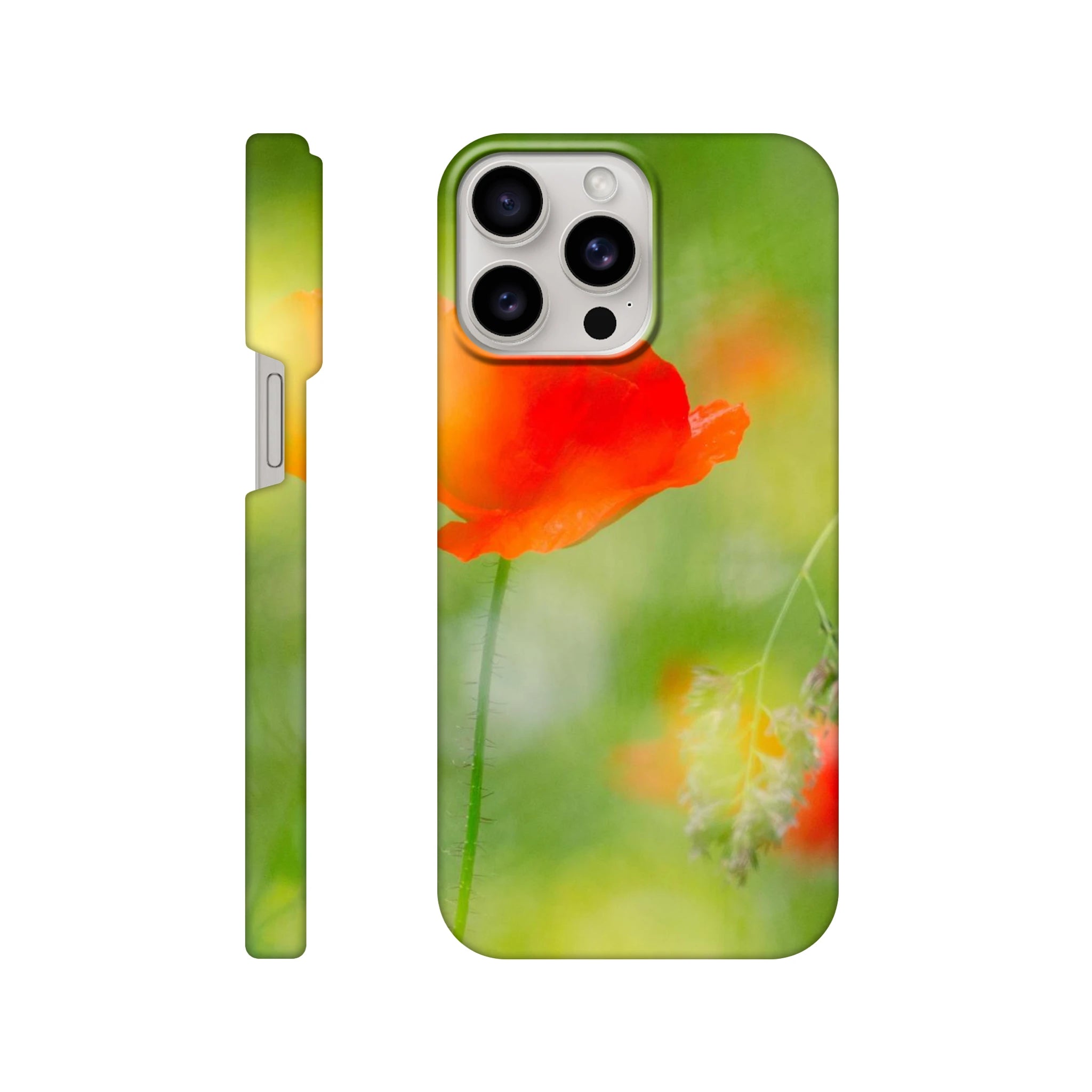 23012f5e-c05b-4af4-95ab-d12a201d7ba5
