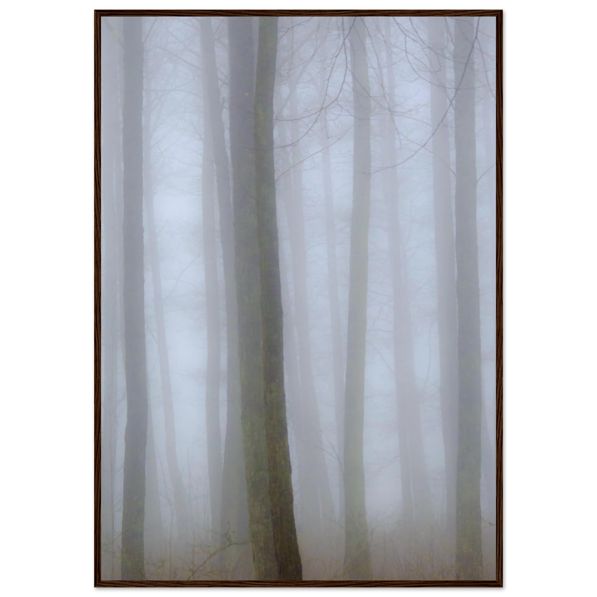 239f08c2-cc9b-4170-8f7c-e8e94949bb65