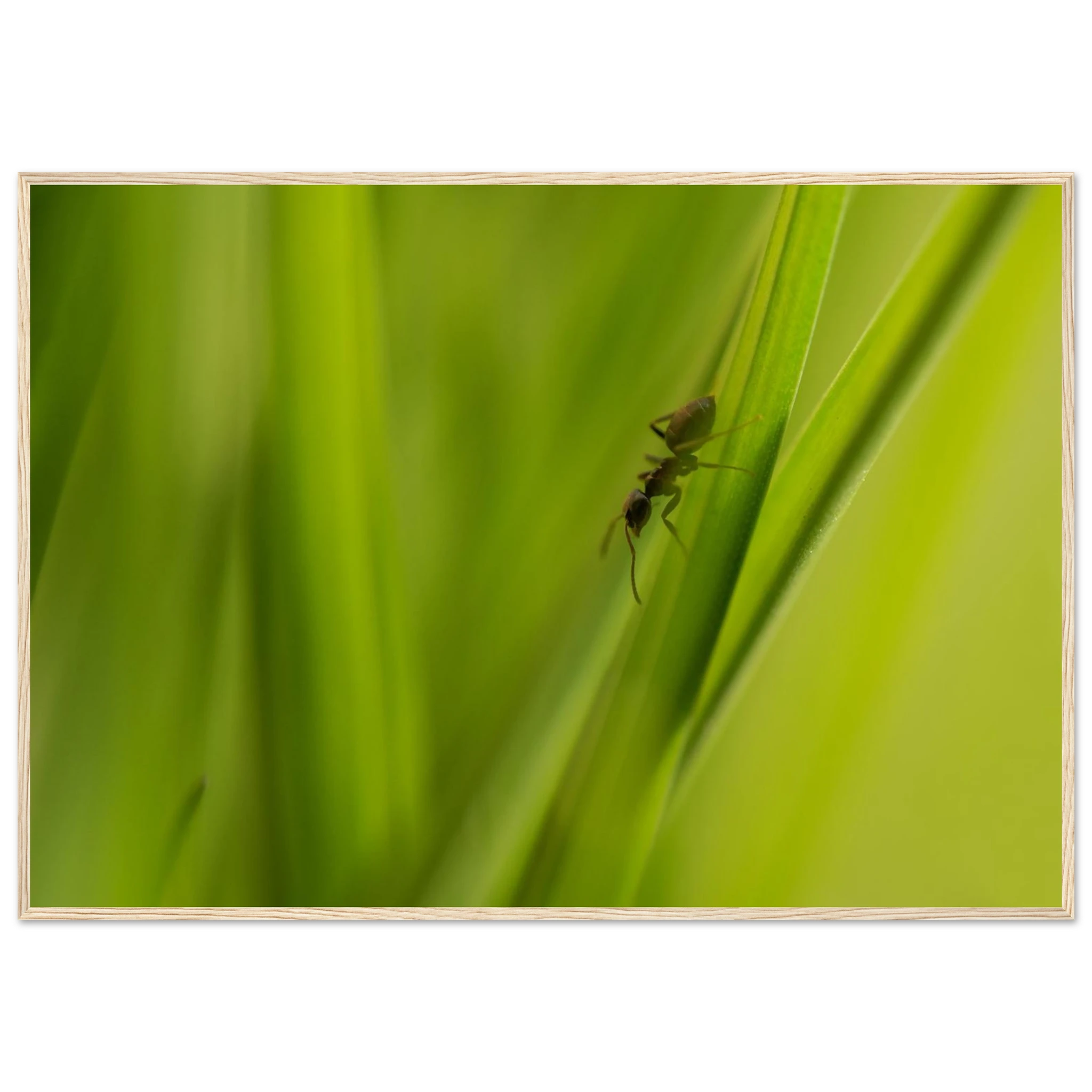 23e49158-f158-4413-9233-570fa8fa1f00