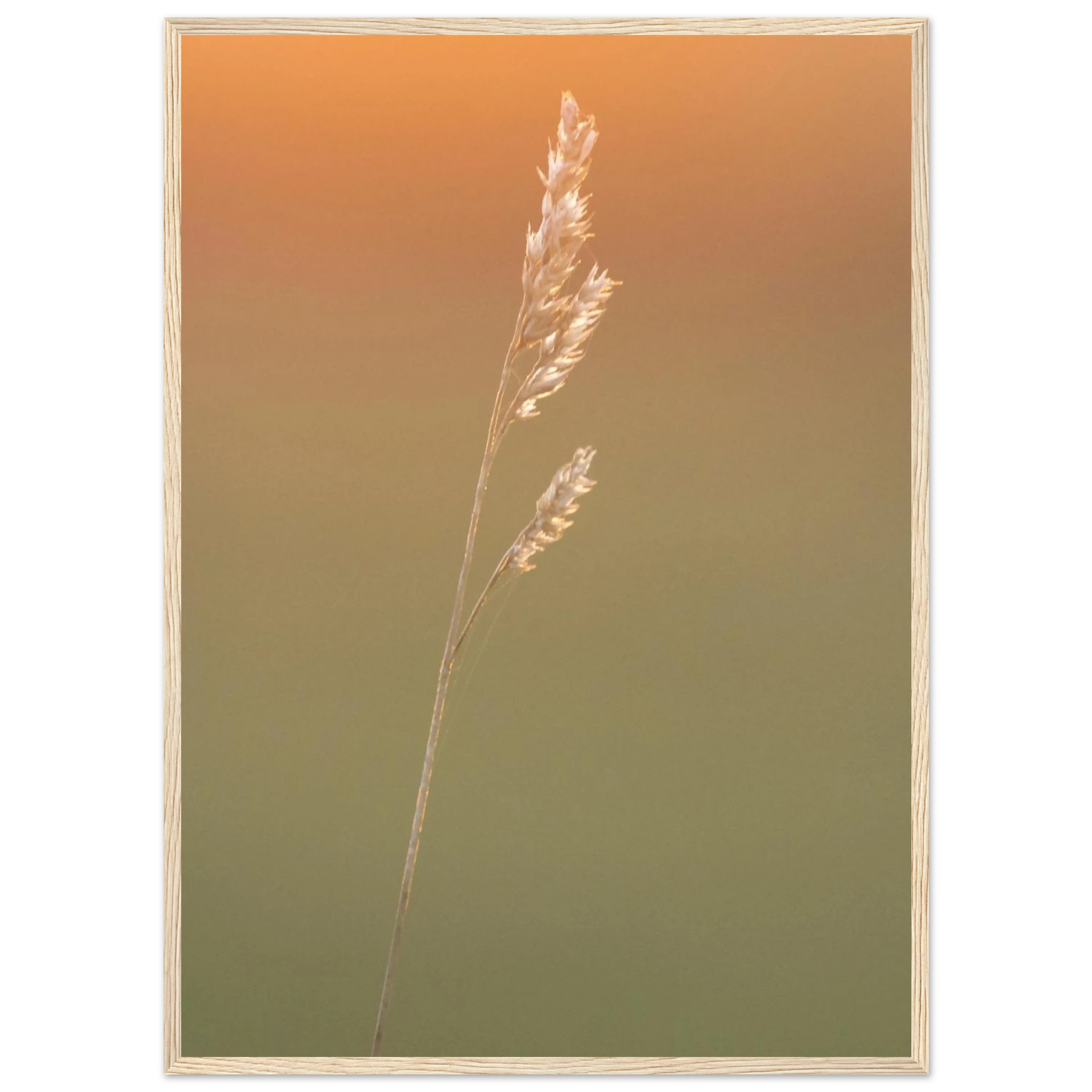 25614f46-72fd-4adc-bde7-27389f5ea5ea