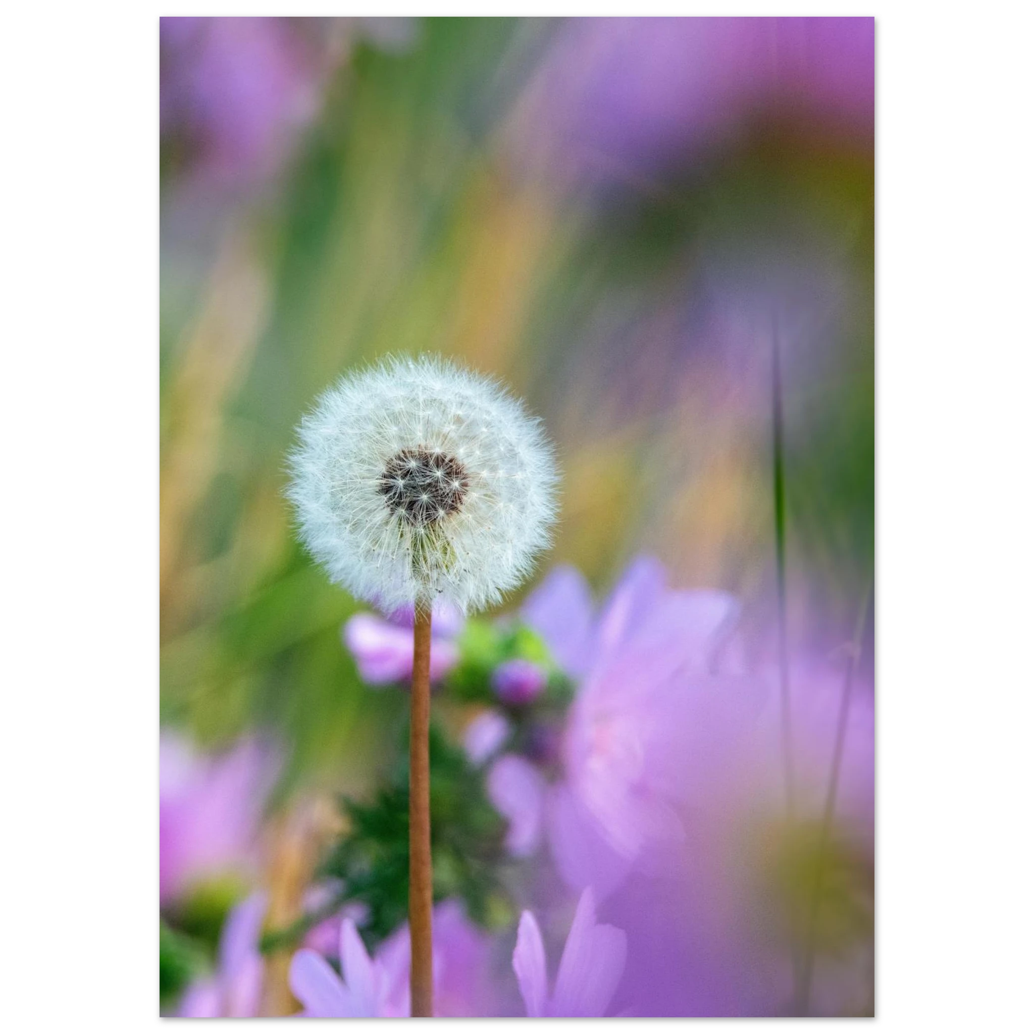 258fa943-b6c1-47ba-964a-d3f5c07bdd8b