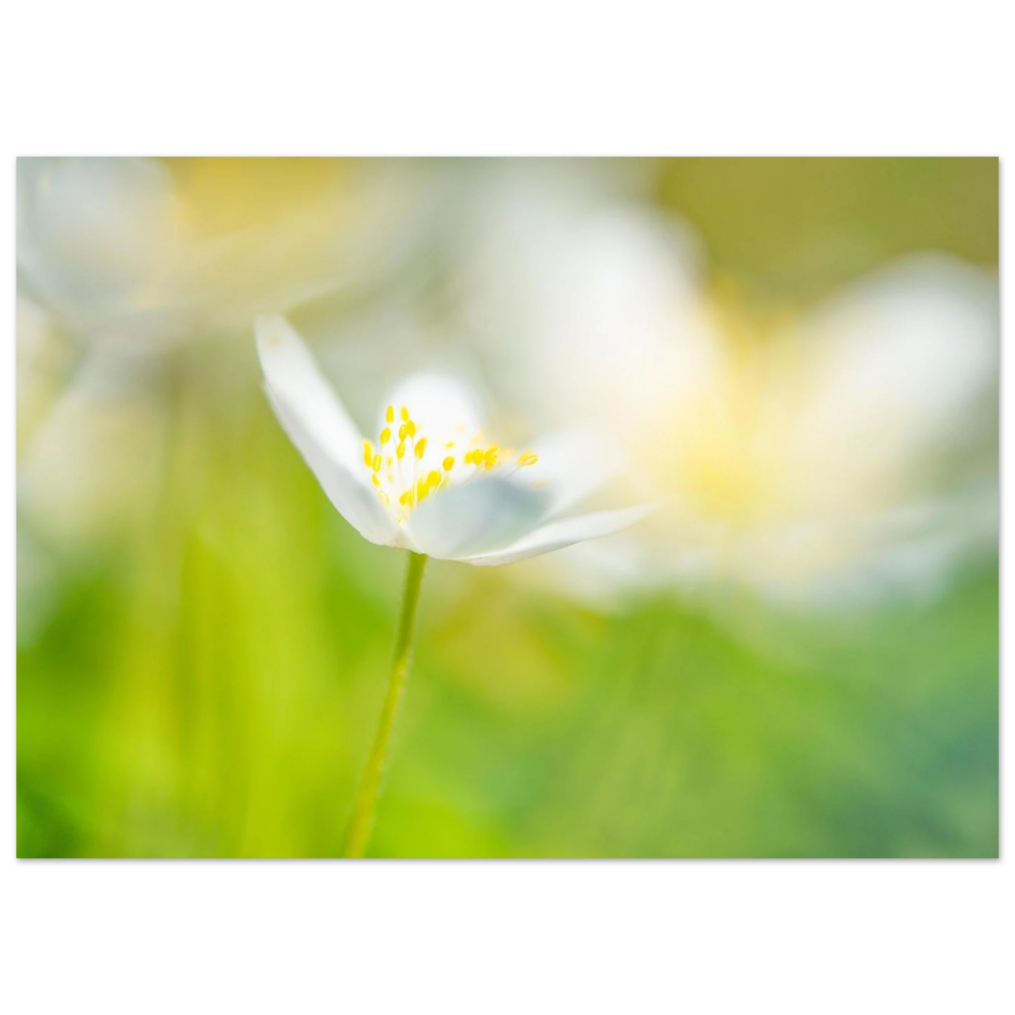 2626168b-0644-4fc4-9aa2-f6ab8f78e194