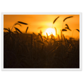 2716e976-3815-47cb-ad55-b5df92b81517