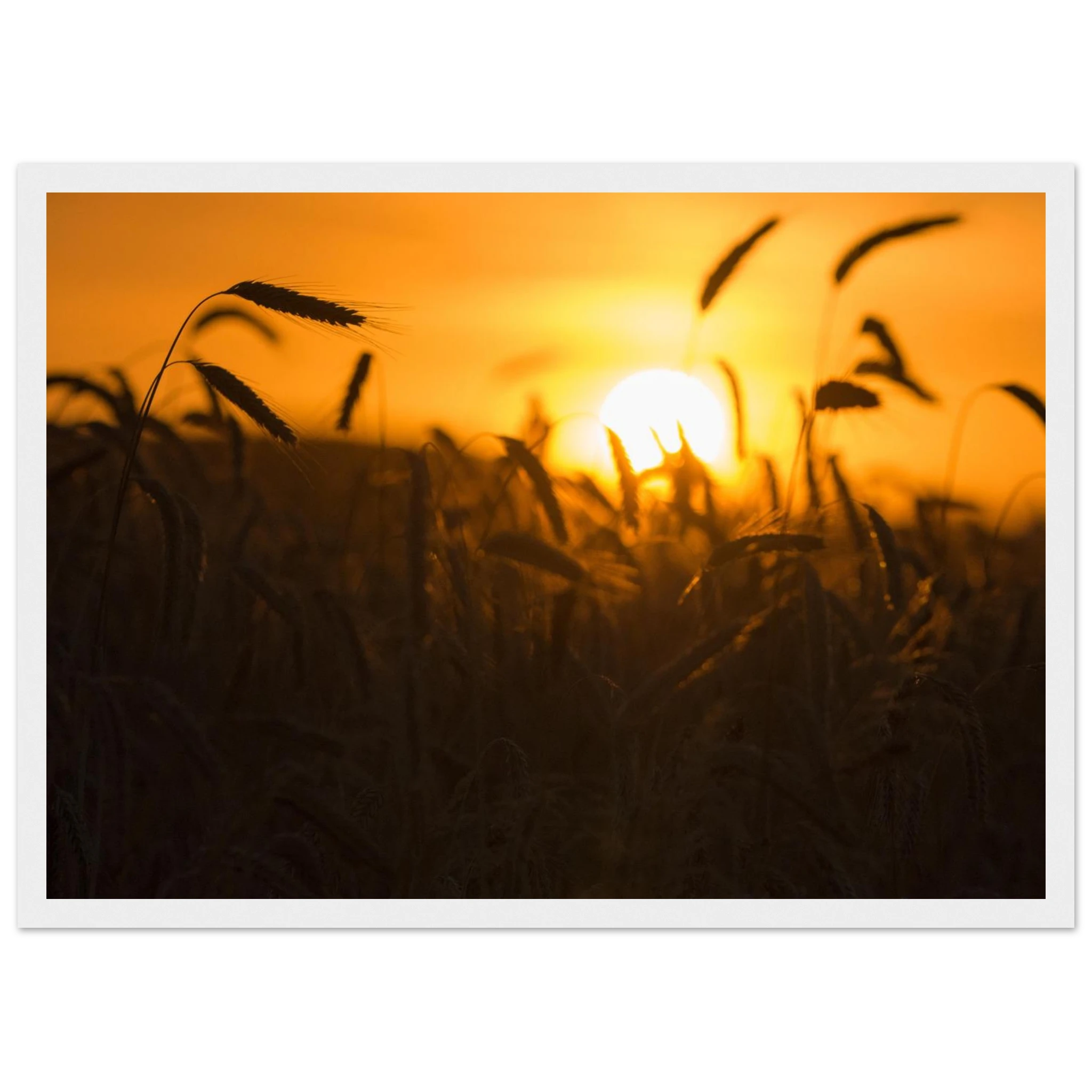 2716e976-3815-47cb-ad55-b5df92b81517