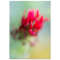 27f8476c-f028-473f-ab0a-0afc4e73b06c