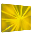 28360855-0770-4ace-9182-2a12bc7ff0f5