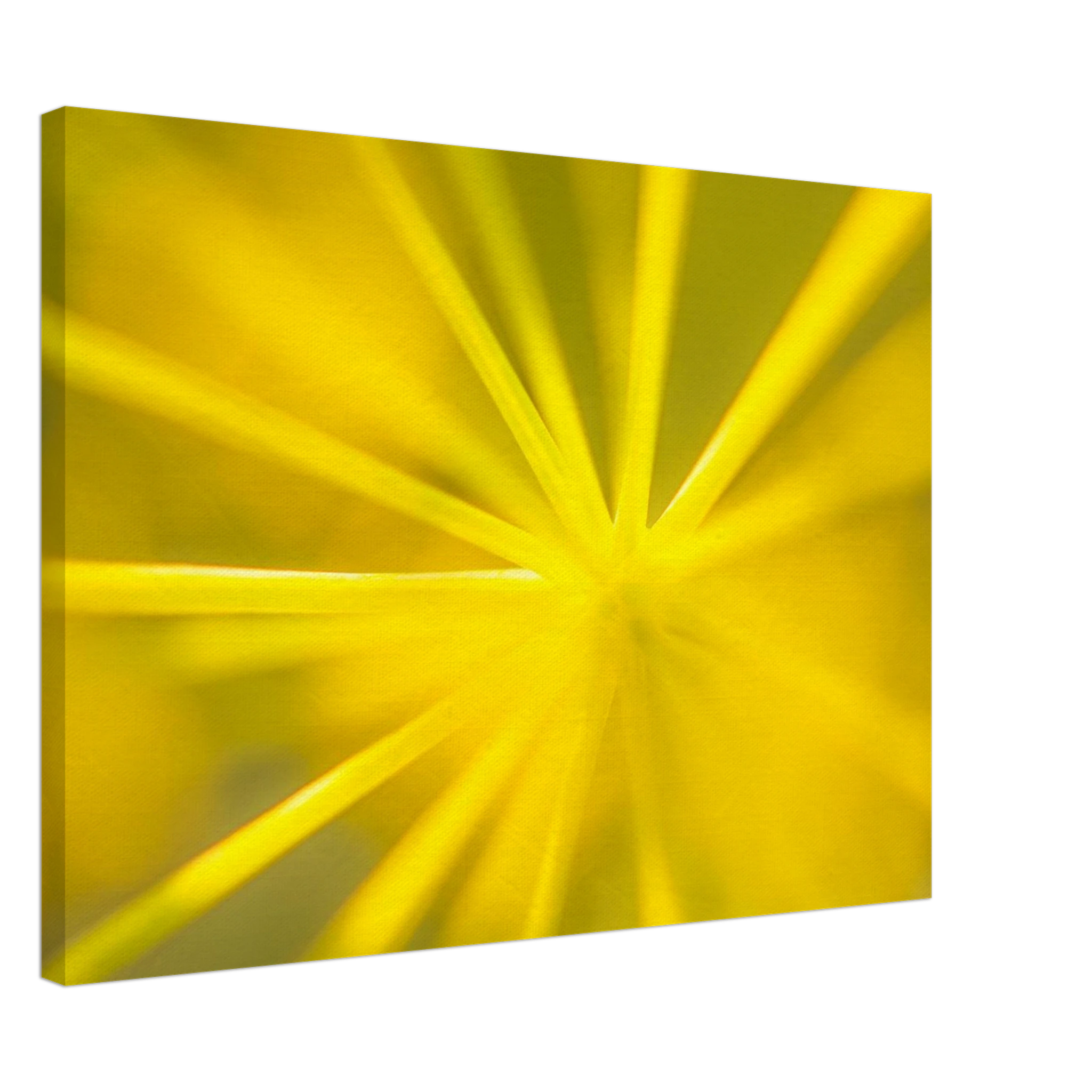 28360855-0770-4ace-9182-2a12bc7ff0f5