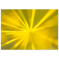 28d055e5-4ab4-4810-b05e-46e20e5422e9