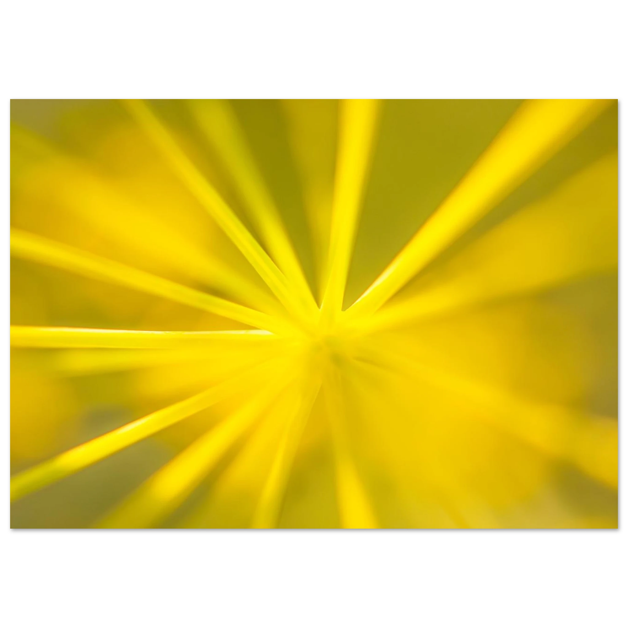 28d055e5-4ab4-4810-b05e-46e20e5422e9