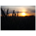 2921320f-3f39-4bd3-9d10-fc5026c972d2