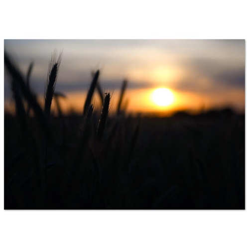 2921320f-3f39-4bd3-9d10-fc5026c972d2