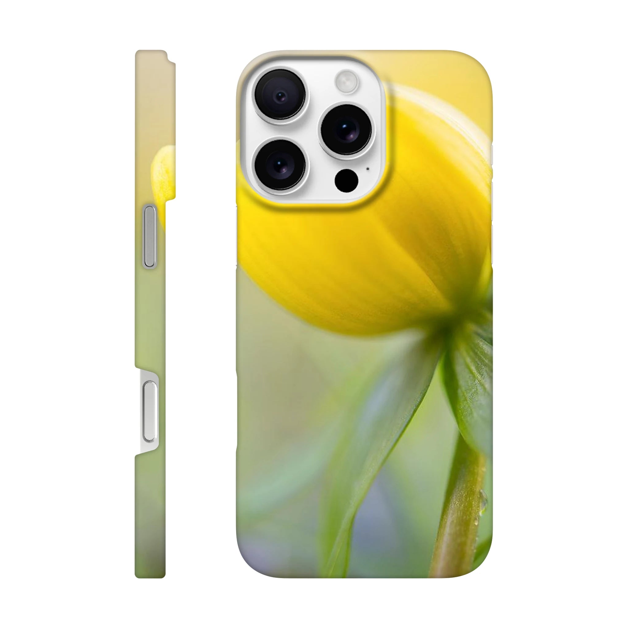 292affda-c190-47d9-a4c6-500380f4a101