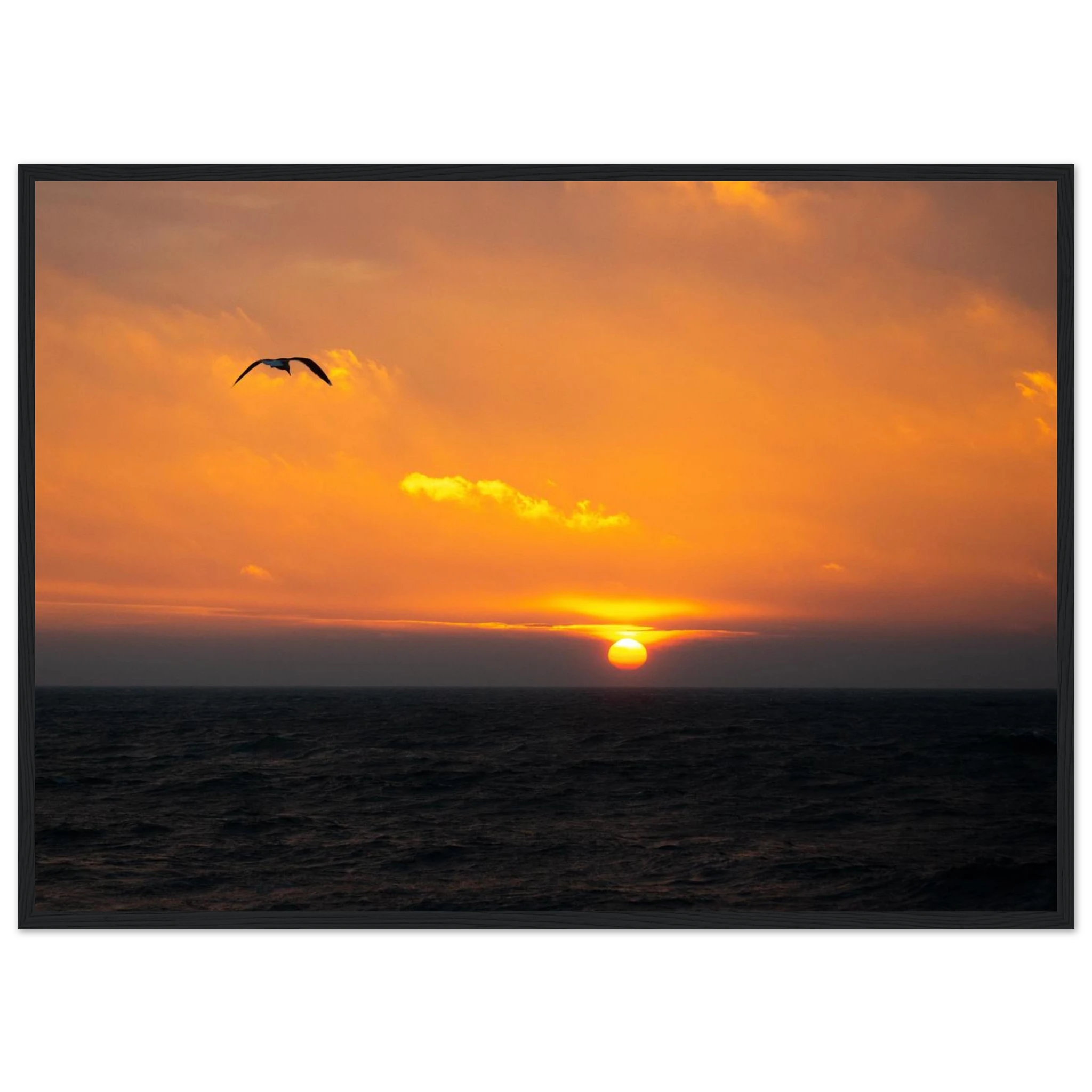 294571b1-cee2-40bf-92c7-94aef667b01f