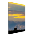 295f8c2f-d952-46d1-b94e-354d34d46457