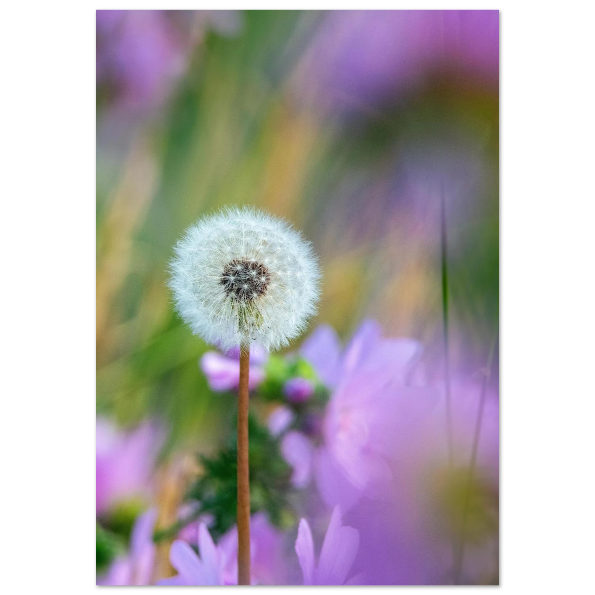 2a546c23-6a93-4dc3-816a-2d816953c0ef