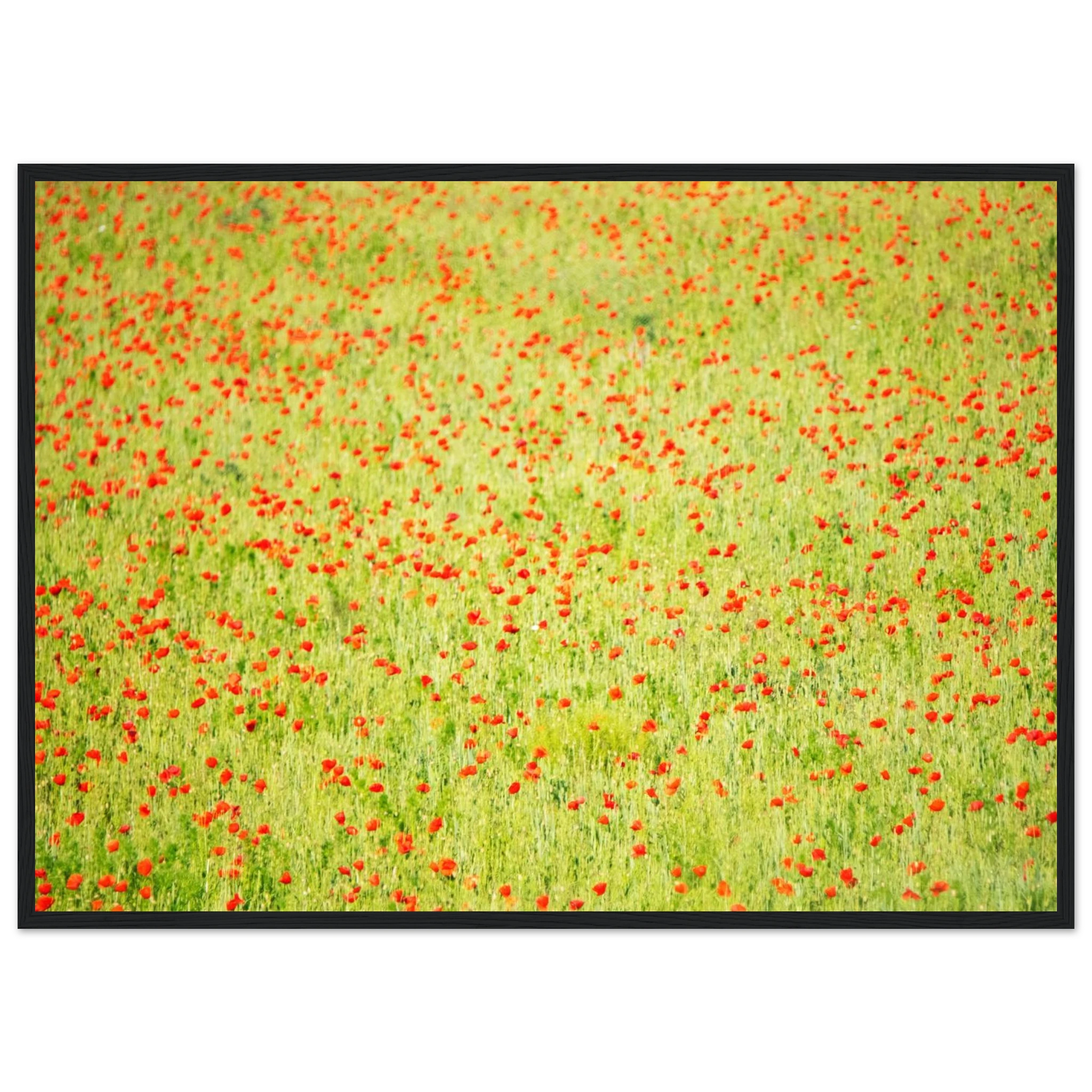 2b1f9e8b-55d6-4ced-ab79-040b648b8025