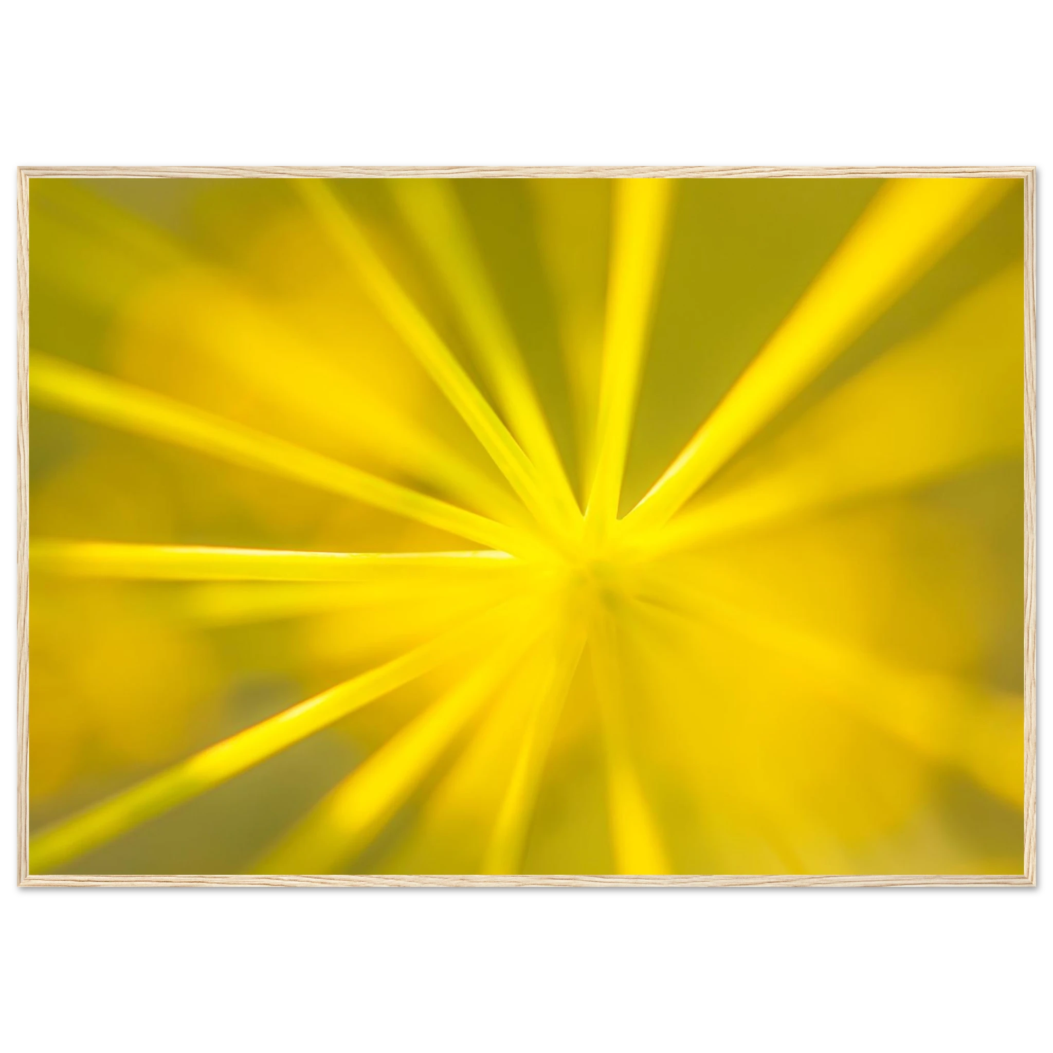 2c4b520c-8a01-4033-a9bb-8e33e9be80a7