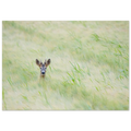 2ca73ba2-5794-4e20-b79c-bbc686dc1ded